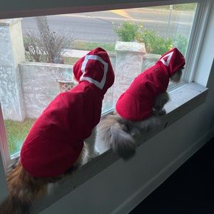 Squid game dog/cat costume